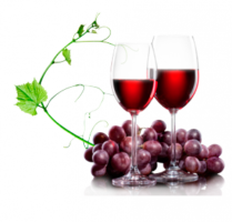 sudové víno