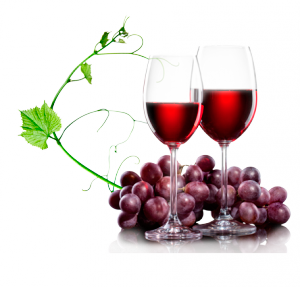 sudové víno